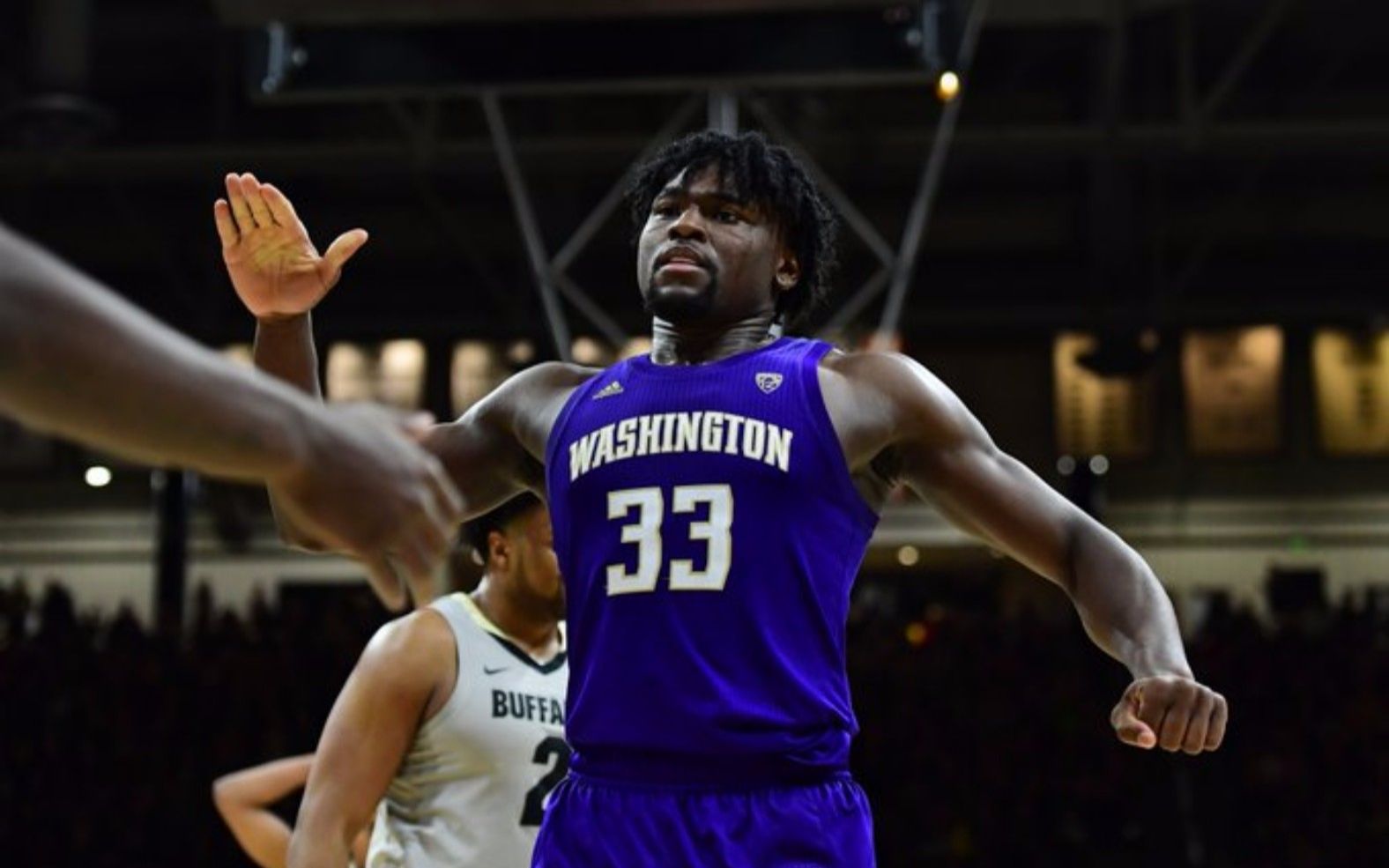 华盛顿新人内线:以赛亚-斯图尔特(isaiah stewart)