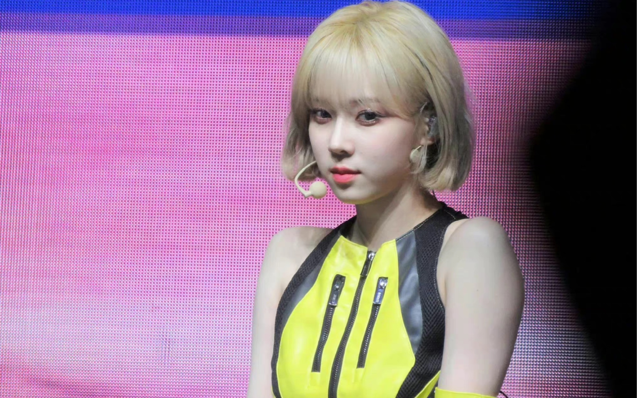 哔哩哔哩_bilibili