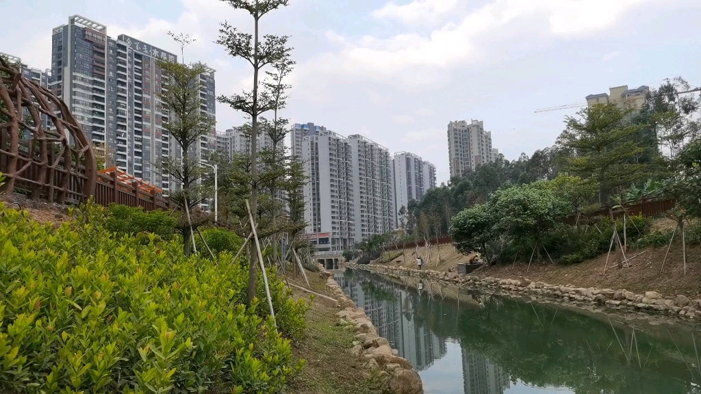 清远市区竟然隐藏着一座如此漂亮的中央公园,住在这里太幸福啦!