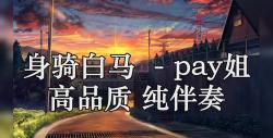 [图]身骑白马 (DJ版) - pay姐 高品质 纯伴奏