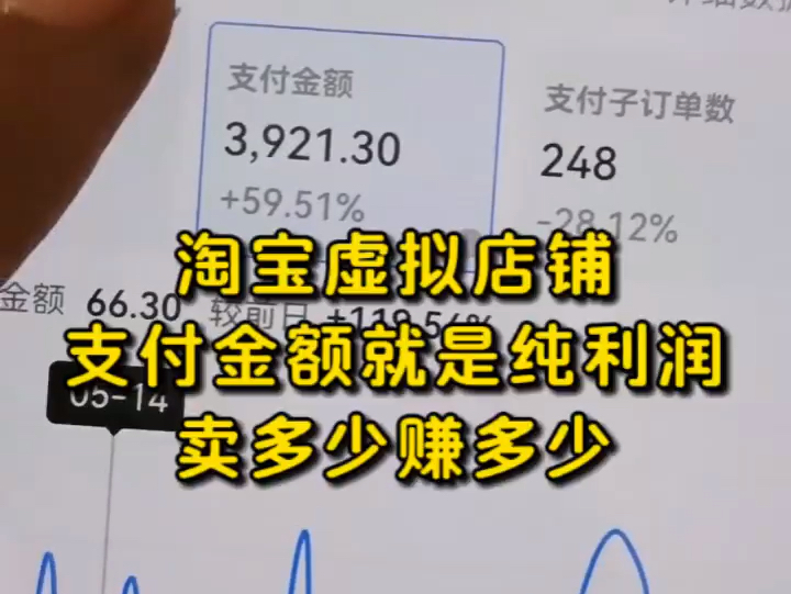 淘宝虚拟店铺新开一个月,支付金额就是纯利润,卖多少都不用成本!哔哩哔哩bilibili