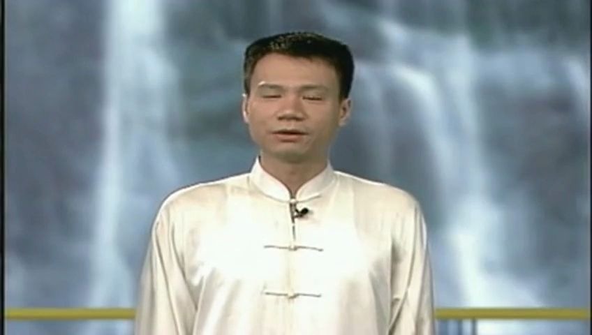 42式太极拳（陈思坦、李德印）