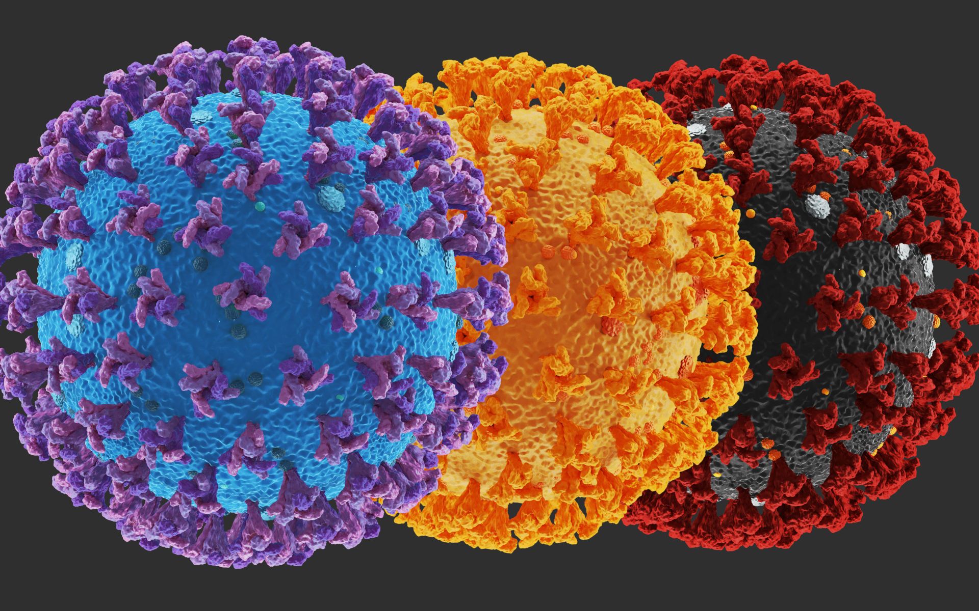 德尔塔病毒模型图片