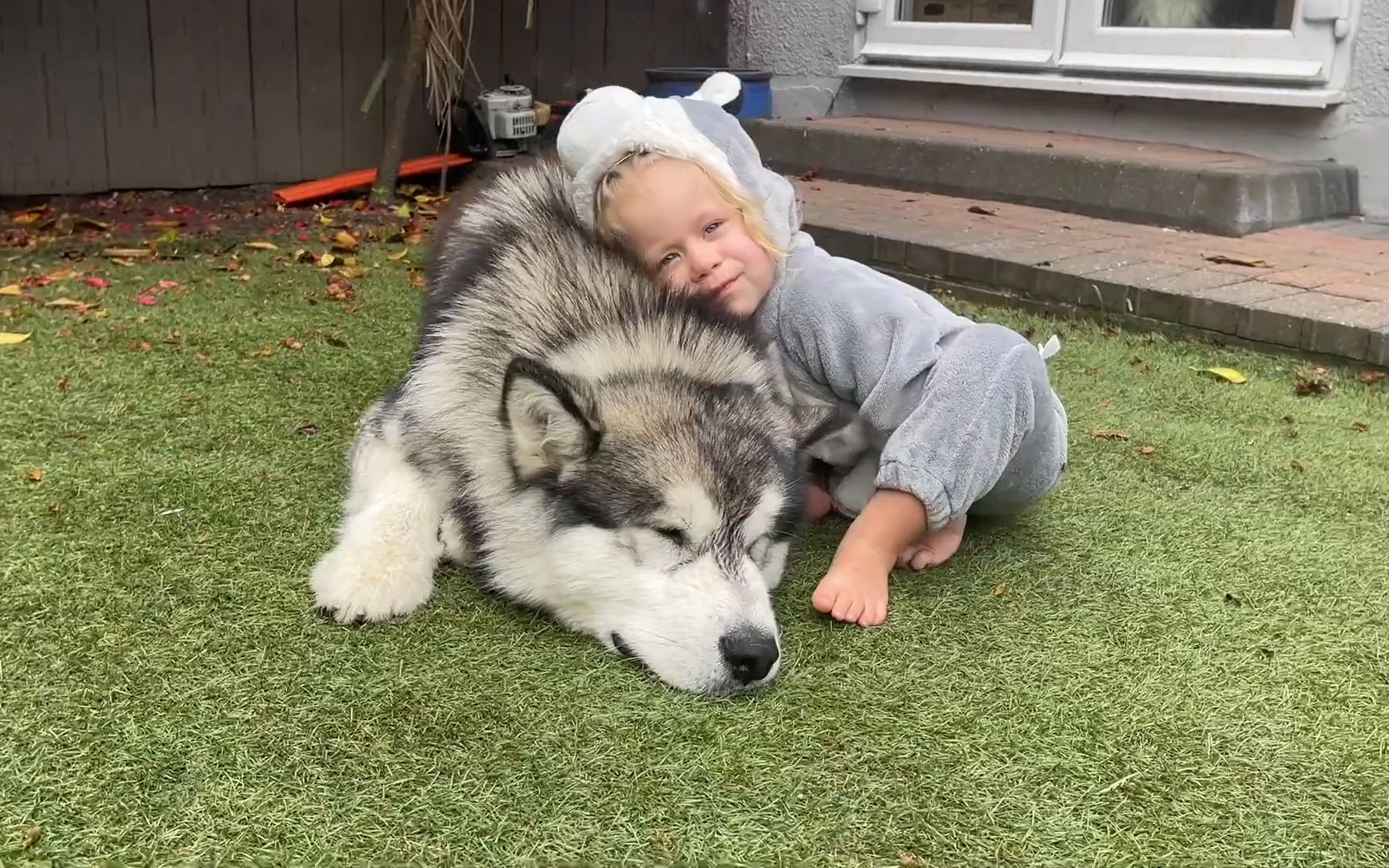 当人类幼崽完全狗化