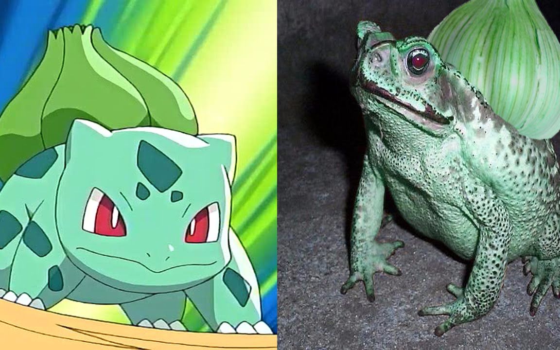 10个存在于现实世界中的宠物小精灵