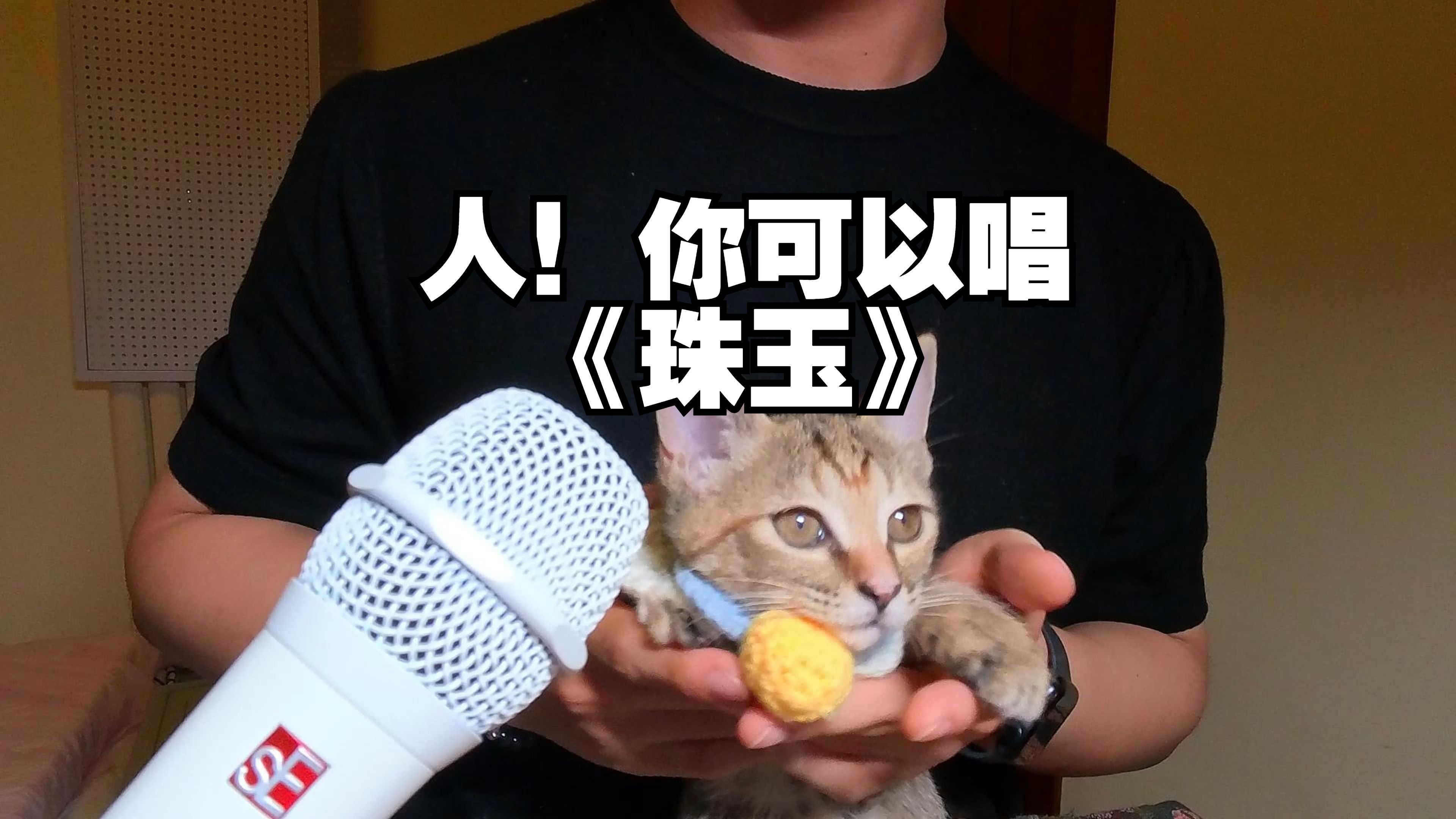 人！男生可以唱珠玉