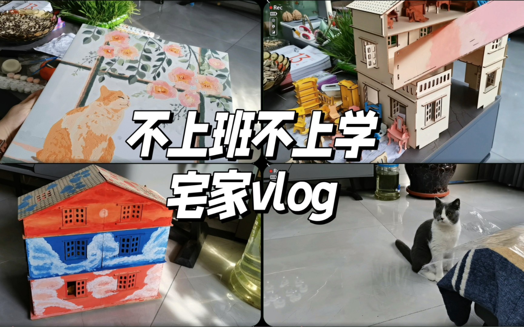 #Vlog 宅家日常 涂画 涂迷你家具 撸猫猫哔哩哔哩bilibili