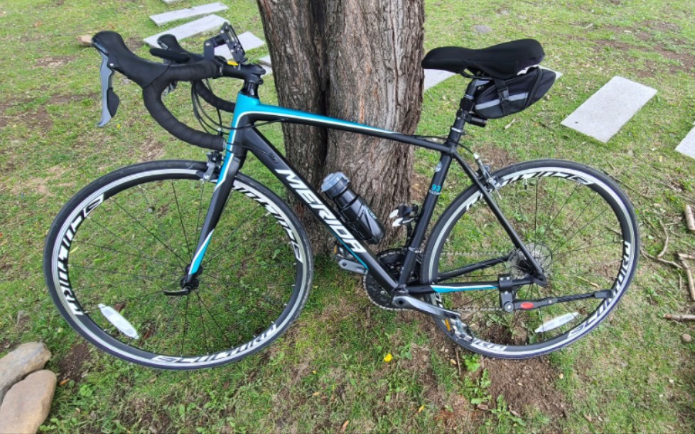 记录我的第一辆公路车斯特拉93