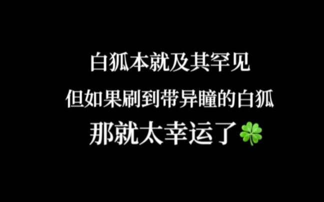 [图]大数据是不会骗人的，极其罕见的异瞳白狐，刷到就证明好运即将到来⭐