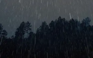 【白噪音】森林放松睡眠雷雨声10小时，#学习，#冥想，#背景音，#雨声，#催眠，#睡眠，#放松，#bgm，#治愈，#PTSD，#雨声入睡