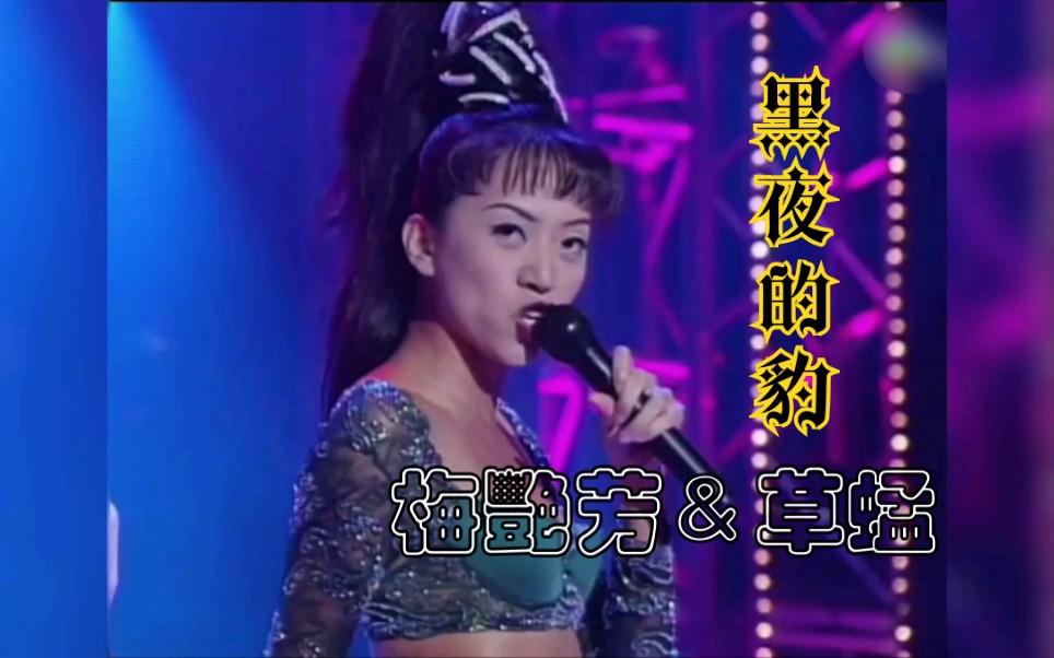 [图]【梅艷芳＆草蜢】黑夜的豹live（1995年萬眾同心公益金現場cut）