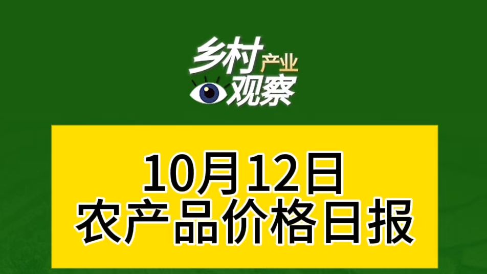 10月12日农产品价格日报来啦~哔哩哔哩bilibili