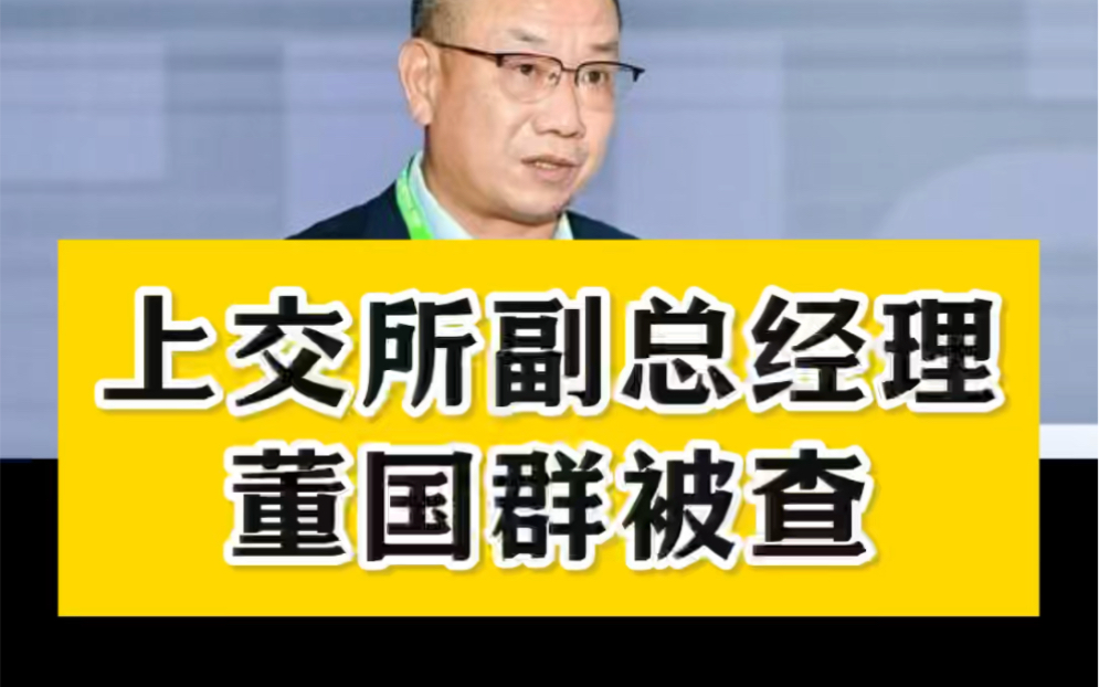 上交所副总经理董国群被查 漂亮话说了一箩筐 情何以堪啊 图片取材于网络哔哩哔哩bilibili