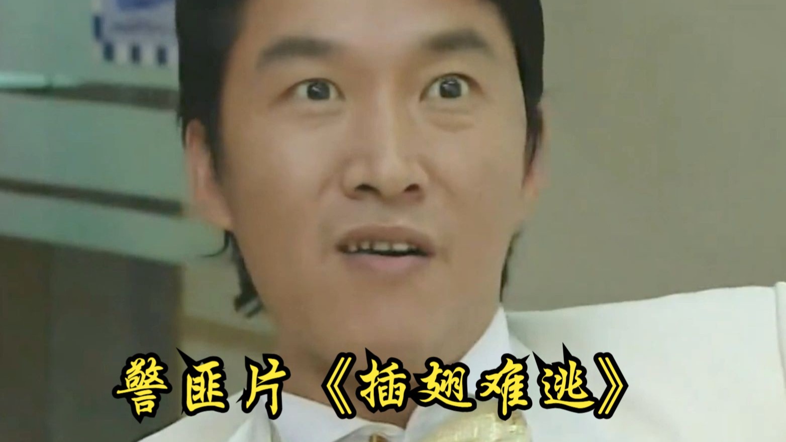 警匪片《插翅难逃》