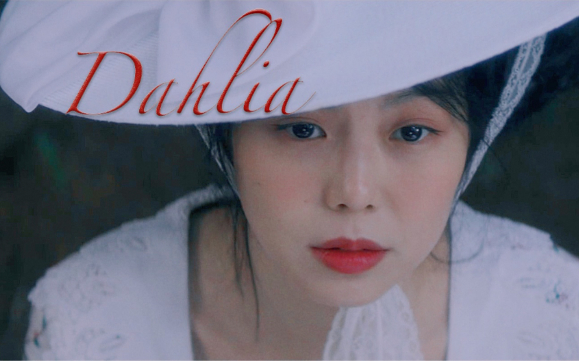 Our love is Dahlia|小姐|哔哩哔哩bilibili