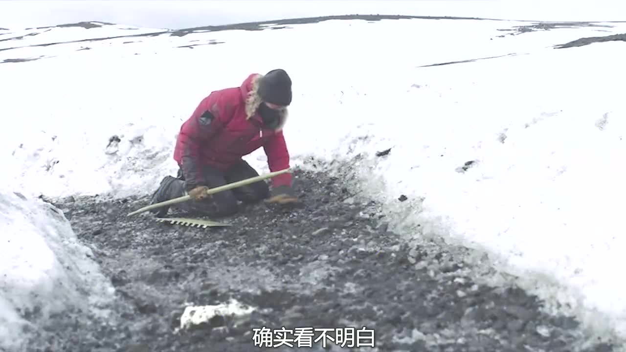 【沙鱼】男子被困北极,上演极地荒野求生,6分钟看完《北极》哔哩哔哩bilibili