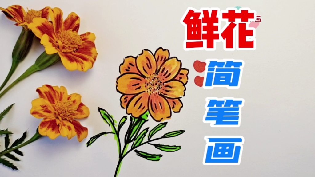 画朵路边采的小野花,一看就会,简单漂亮,鲜花简笔画,一起画画