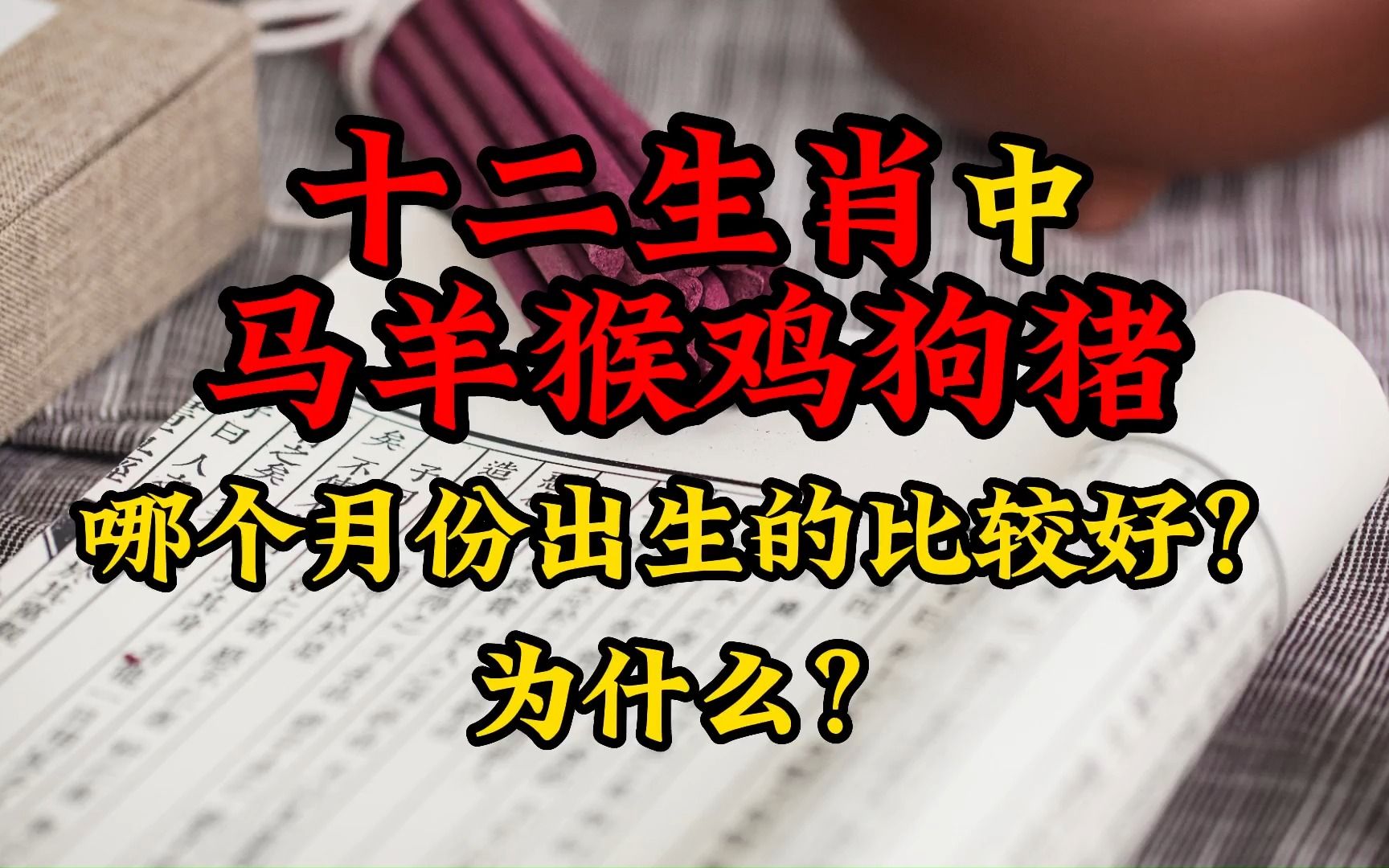 生肖、马、羊、猴、鸡、狗、猪,在哪个月份出生的比较好?哔哩哔哩bilibili