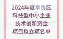 2024年度奉贤区科技型中小企业技术创新资金项目拟立项名单哔哩哔哩bilibili