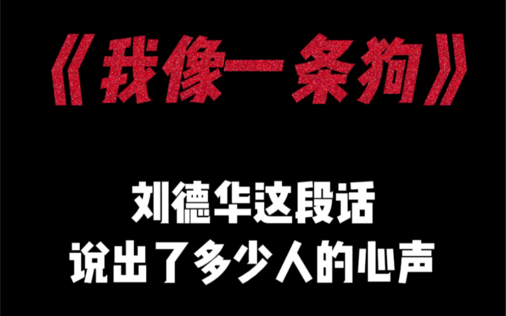 “过一天算一天,以后怎么样,谁也不敢想”哔哩哔哩bilibili