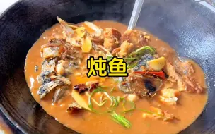 下载视频: 农村柴火锅炖花鲢，真的太好吃了，鱼汤泡饭更是精华