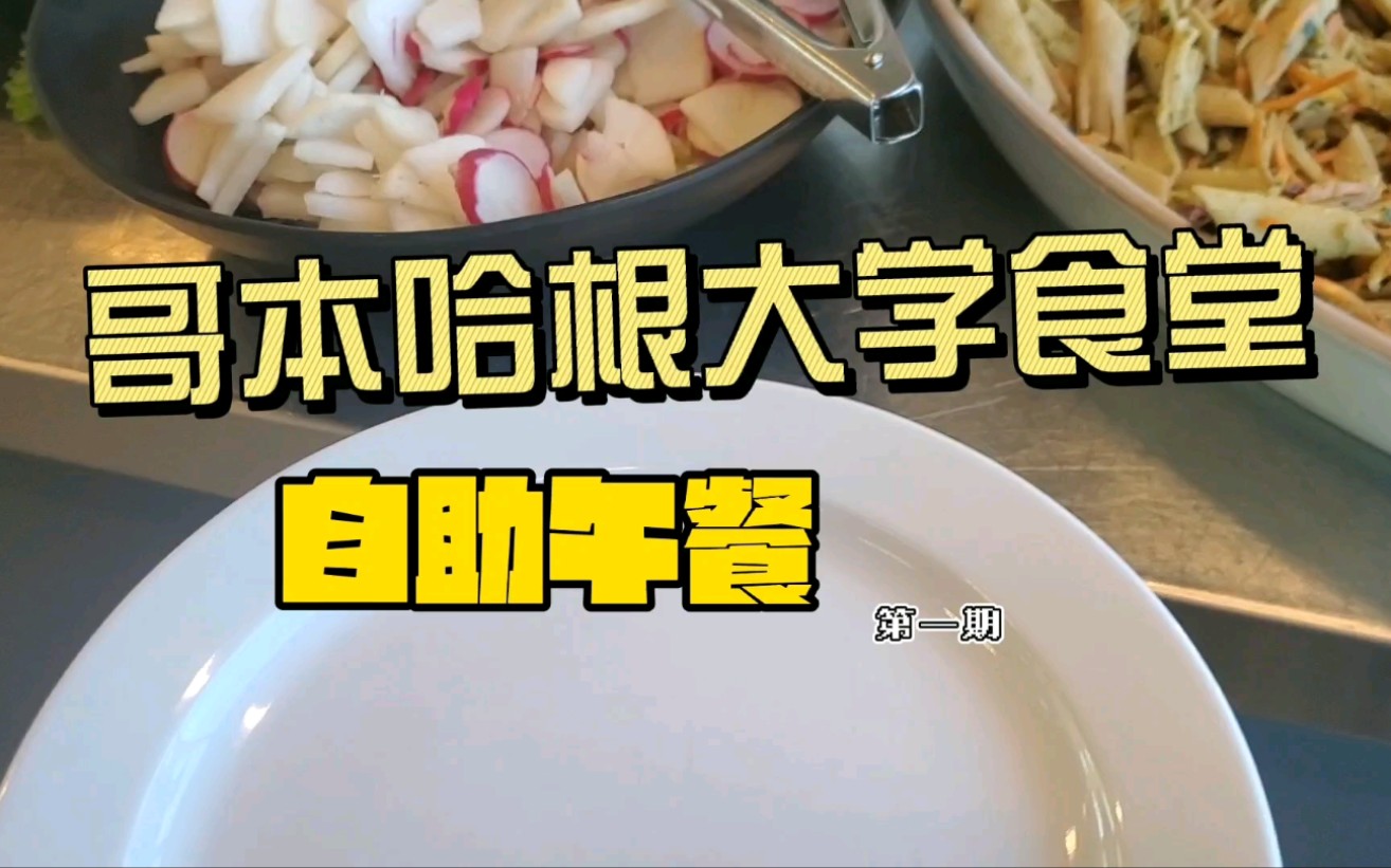 [图]达奚-哥本哈根大学自助食堂午餐