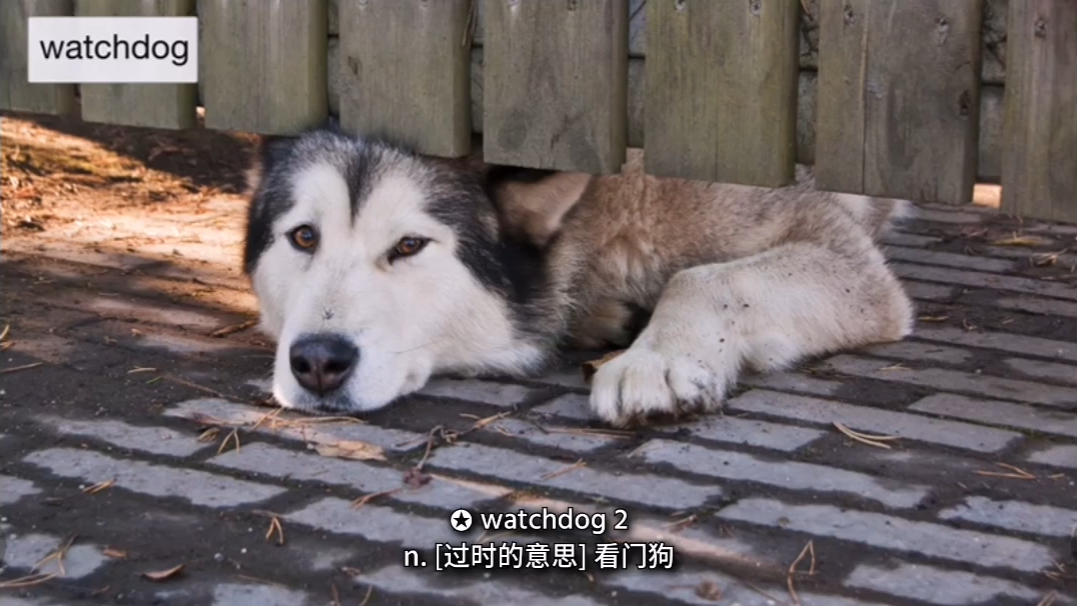 小野解词大学版111-dog的同源词