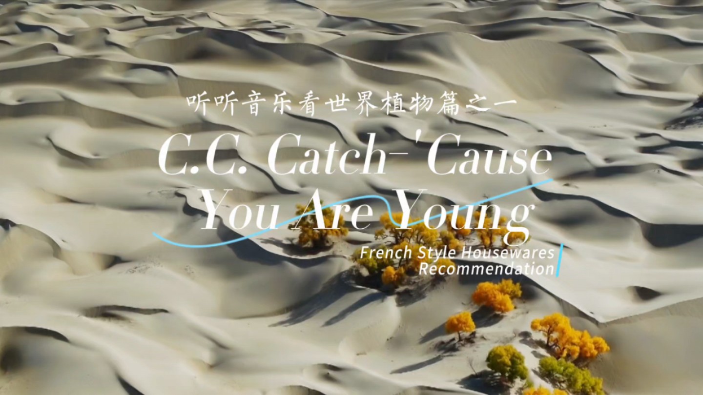 [图]《C.C. Catch-'Cause You Are Young》视觉盛宴 听着音乐看世界植物篇之一