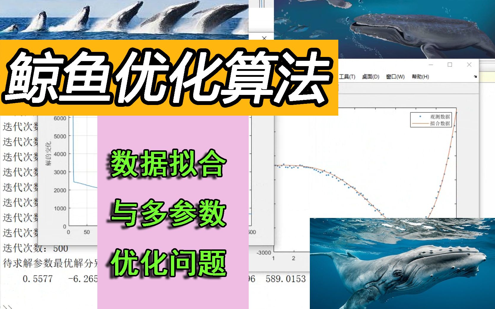 MATLAB鲸鱼优化算法求解数据拟合和多参数优化问题代码实例哔哩哔哩bilibili