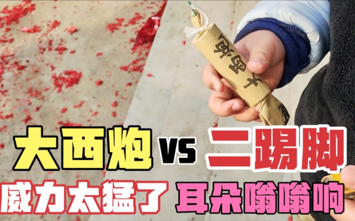 网红大西炮对比二踢脚,威力简直太猛了,放完俩耳朵都嗡嗡直响!
