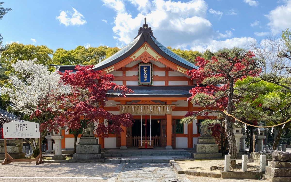 一周一城——福冈市(12)藤崎駅【红叶八幡宫】