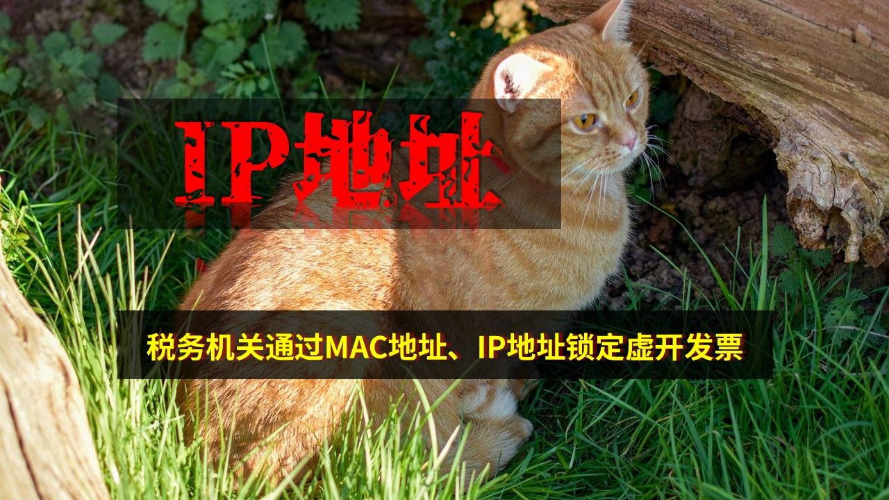 税务机关通过MAC地址、IP地址锁定虚开发票哔哩哔哩bilibili