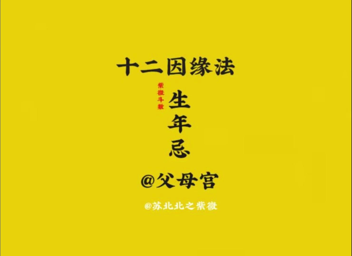 生年忌在父母宫哔哩哔哩bilibili