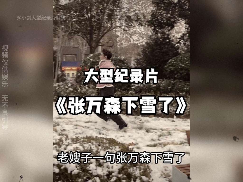 [图]大型纪录片之张万森下雪了，持续为你播出！