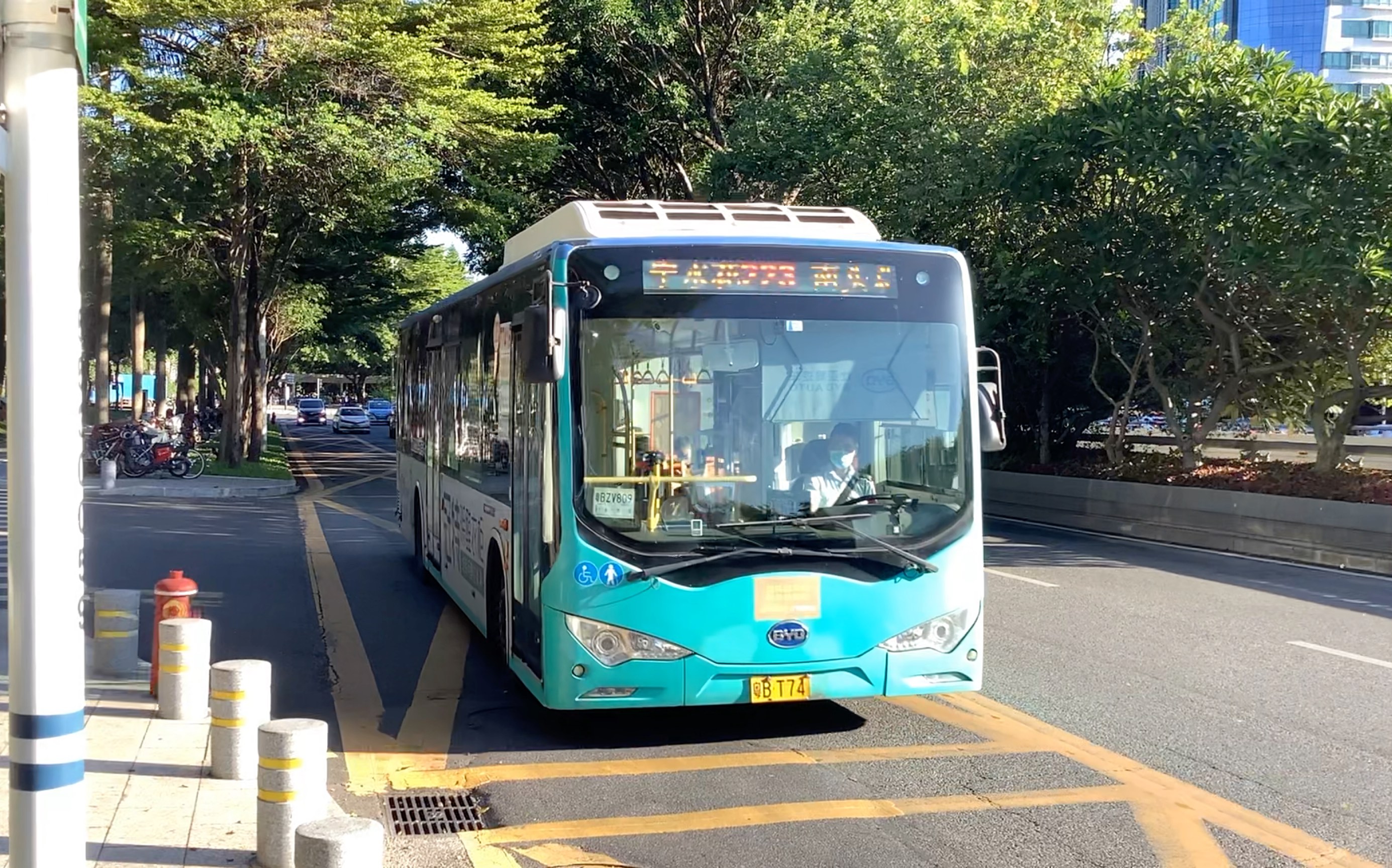 深圳极速223线公交车