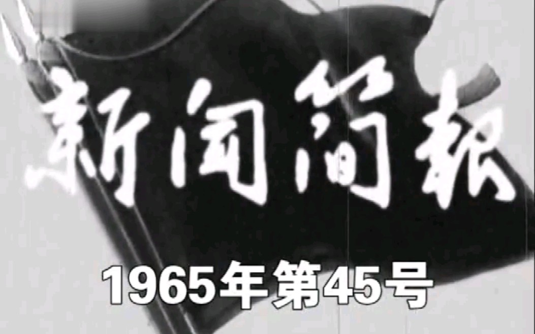 [图]新闻简报1965年第45号