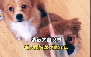 Video herunterladen: 当你被狗咬之后，来看看这个，就不用恐狂那么多年了