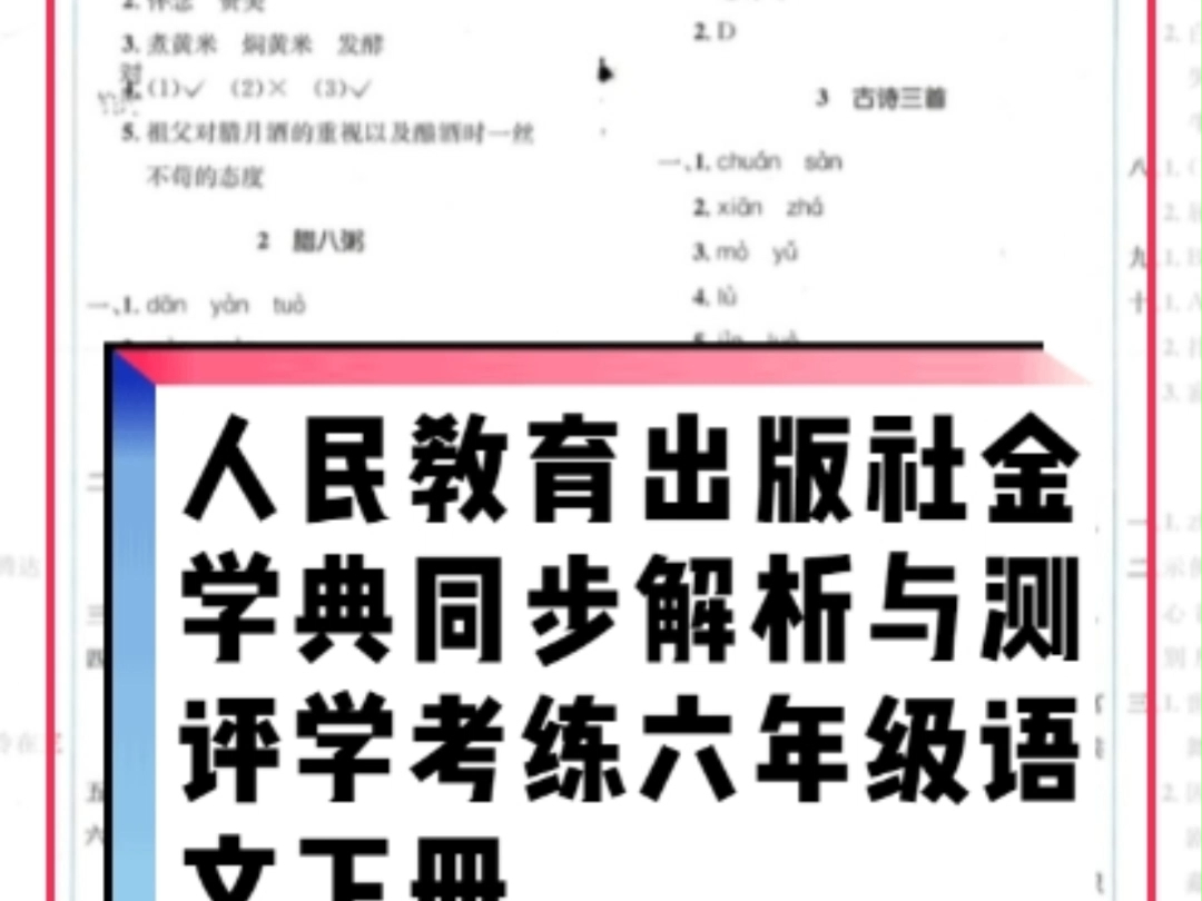 人民教育出版社2024年春人教金学典同步解析与测评学考练六年级语文下册人教版参考答案哔哩哔哩bilibili