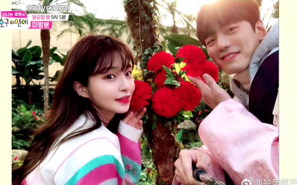 恋综颜值担当第一次上头的恋综cp金旻奎蔡智安ω79磕死我了