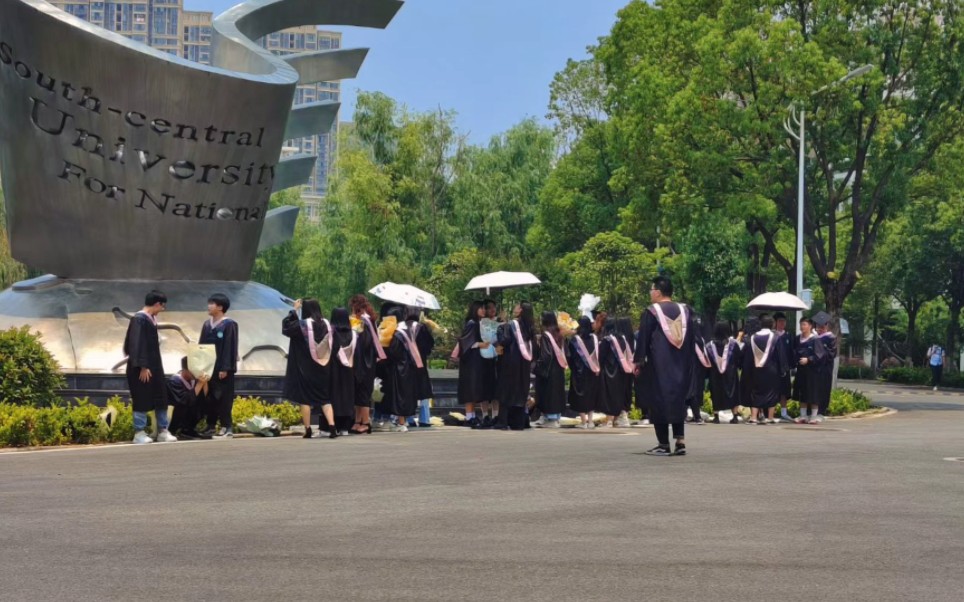 中南民族大学哔哩哔哩bilibili