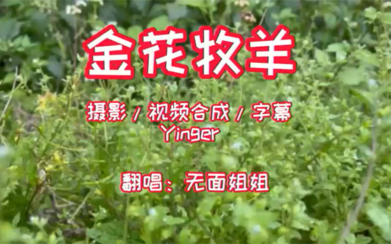 [图]【跟着名家学唱潮剧】金花牧羊（吴奕敏版）