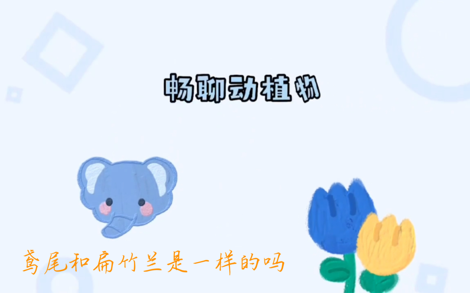 鸢尾和扁竹兰是一样的吗哔哩哔哩bilibili