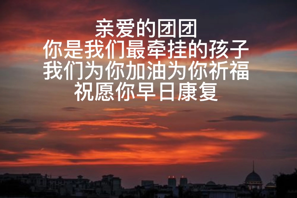 [图]亲爱的团团你是我们最牵挂的孩子我们为你加油为你祈福祝愿你早日康复