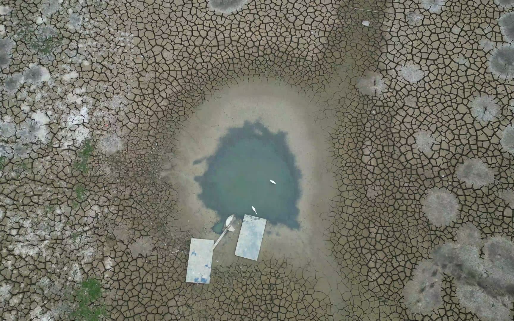 [图]云南干旱求雨#《西游记》续集-祈雨凤仙郡混剪