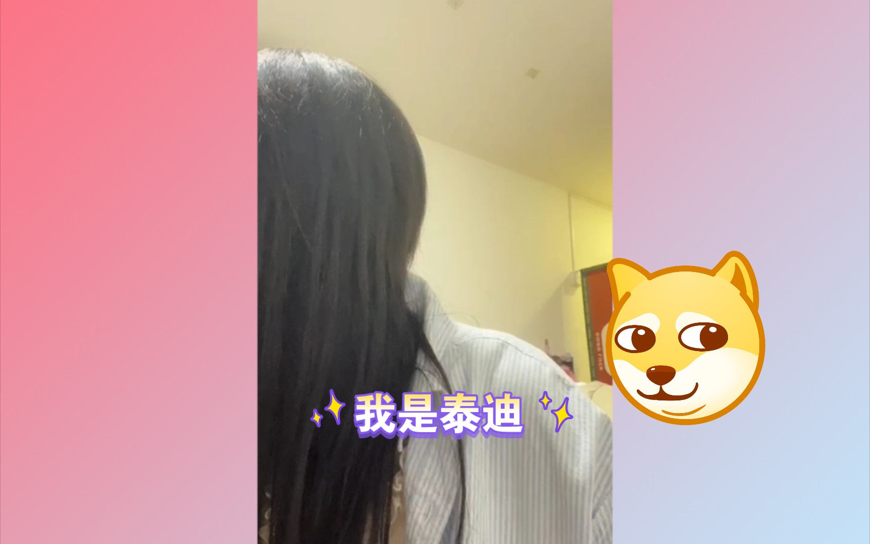 【良陈美婧】鱼:你好像泰迪啊 左:我不像 聚聚:像孔雀 左:我是泰迪(语气坚定)哔哩哔哩bilibili