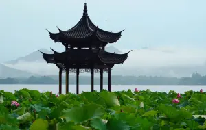 Video herunterladen: 雨后的西湖宛如一幅水墨画，真正体会到苏轼那句：“山色空蒙雨亦奇”了…