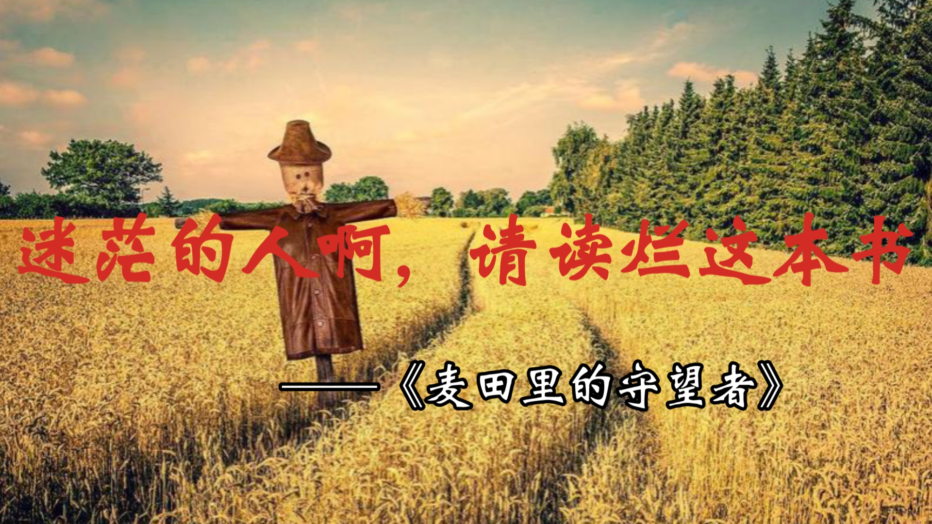 长大是人必经的溃烂,可我不想长大|《麦田里的守望者》