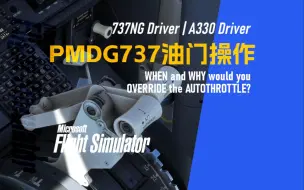 Descargar video: 【PMDG737经验谈】PMDG B737 油门操作 - 737NG Driver | A330 Driver