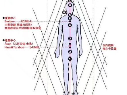 人体15脉轮图哔哩哔哩bilibili