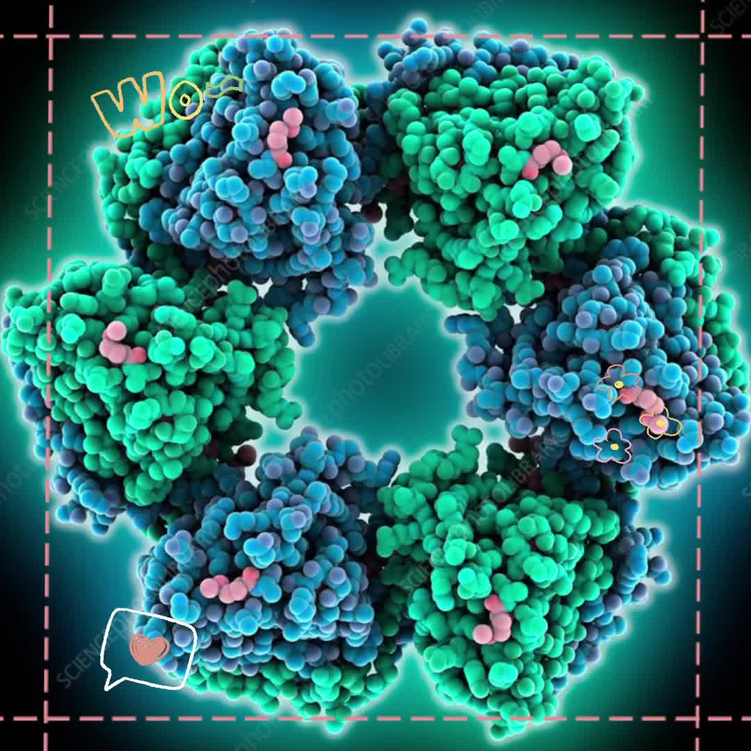 #Rift valley fever virus nucleoprotein#裂谷热病毒核蛋白哔哩哔哩bilibili